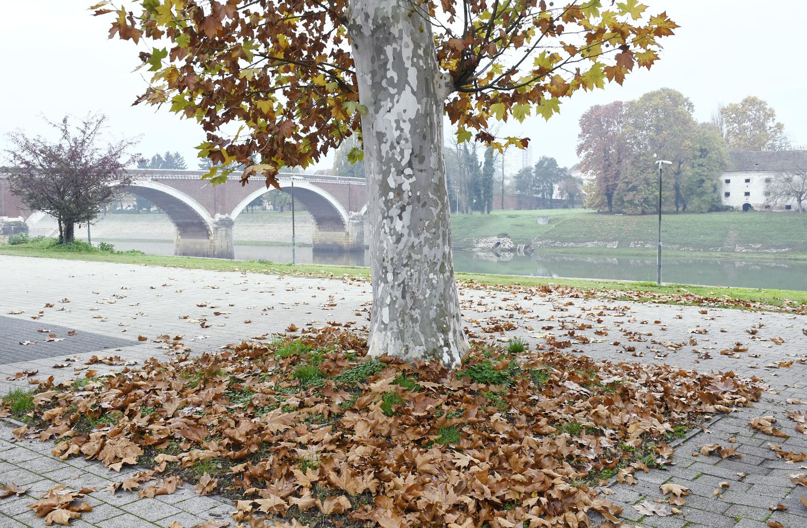 Listopad - Mjesec listopad obično obilježava početak jeseni, kada lišće počinje mijenjati boje i otpadati s drveća. Pučki naziv nastao je stoga prema razdoblju padanja lišća.